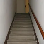Nyaraló Centrostoricolipari