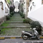 Nyaraló Centrostoricolipari